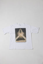 画像をギャラリービューアに読み込む, 【Archive Art】Guarding Angel Big Box Logo T-Shirts
